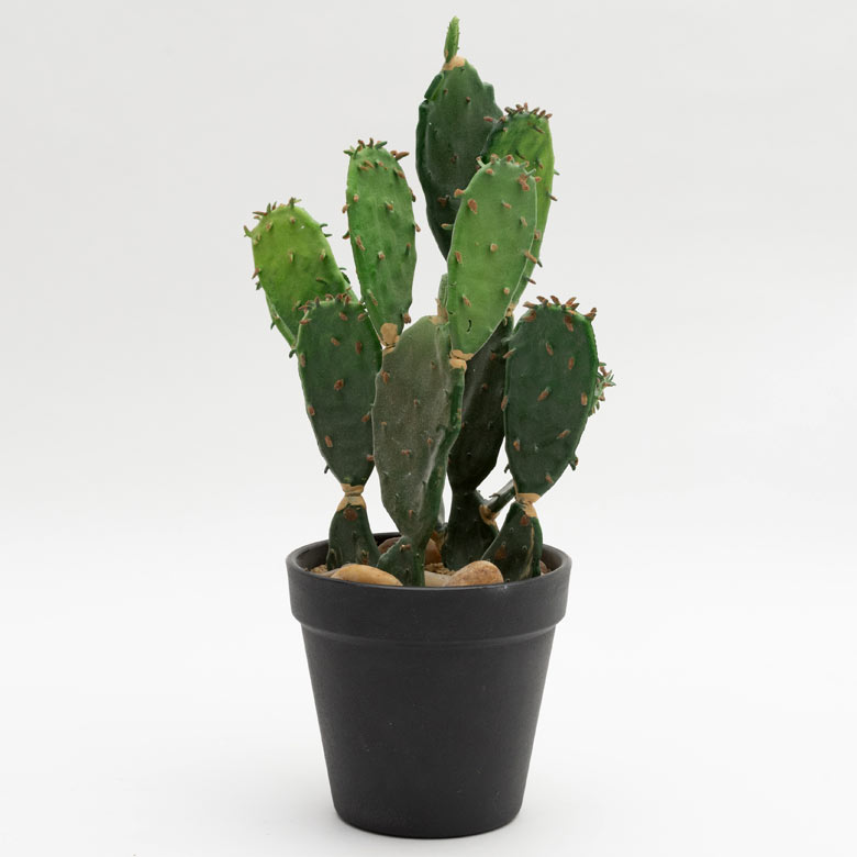 枯れない、お手入れいらず、本物そっくり