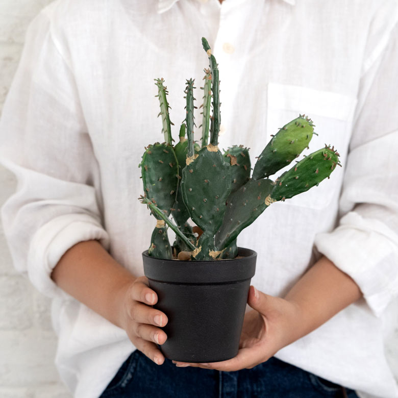 手に持つとこの大きさ