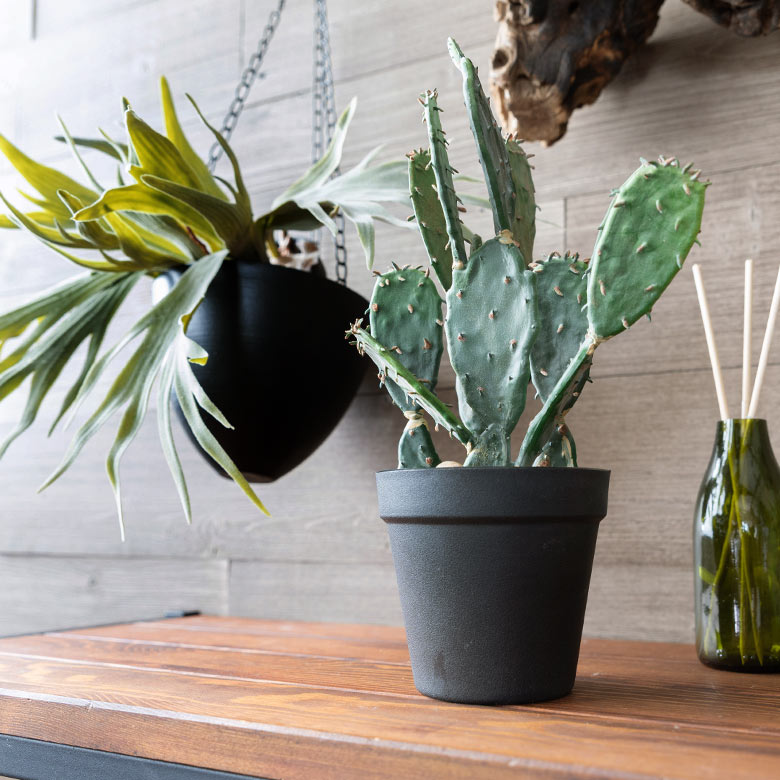 鮮やかな色彩も見事に表現