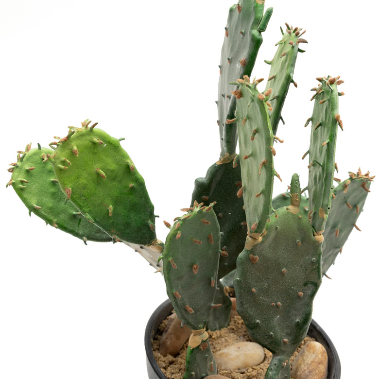 触らないとわからないようなリアルさは、本物さながら！