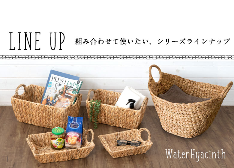 組み合わせて使いたい、ウォーターヒヤシンスシリーズ。