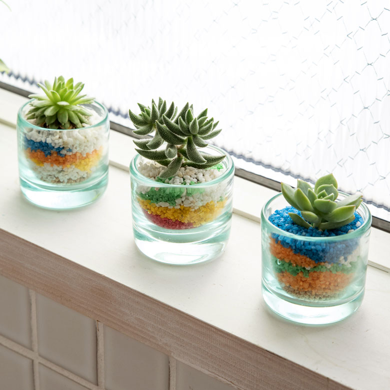 アイデア次第でマルチに使える筒型のガラスケース