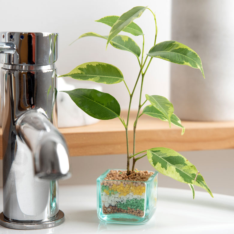 洗面台など、ちょっとしたスペースのインテリアに