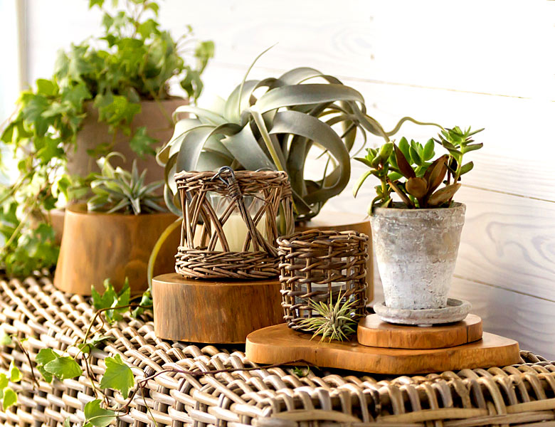 植物の土台にもぴったり