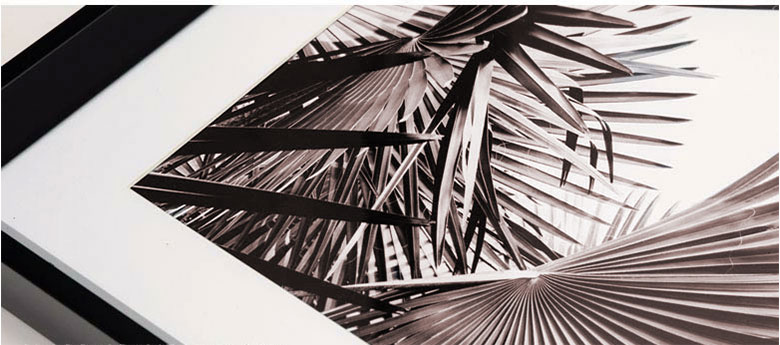 キャンバス地にプリントされた写真フレーム。