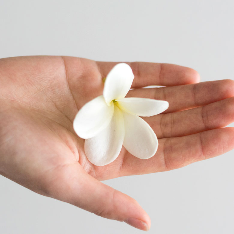 手にのせるとこれくらいの大きさです