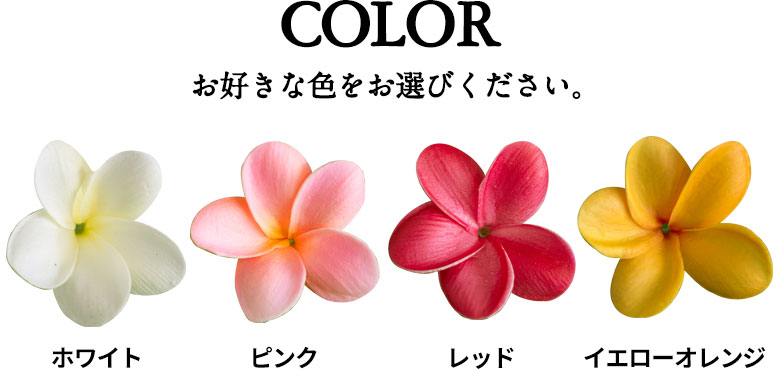 お好きなカラーをお選びください