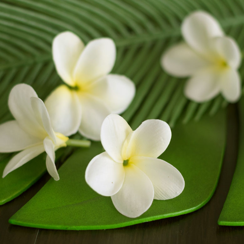 リゾートインテリアに欠かせない南国フラワー