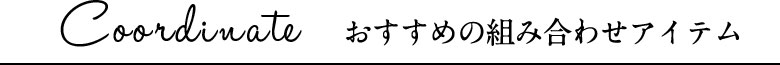 おすすめの組み合わせアイテムはこちら