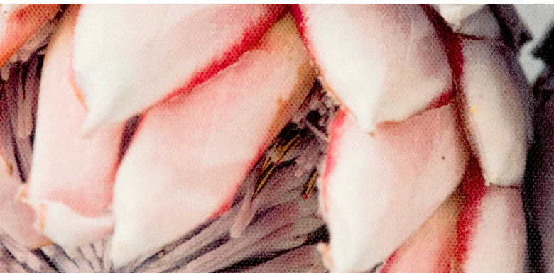 写真プリント。