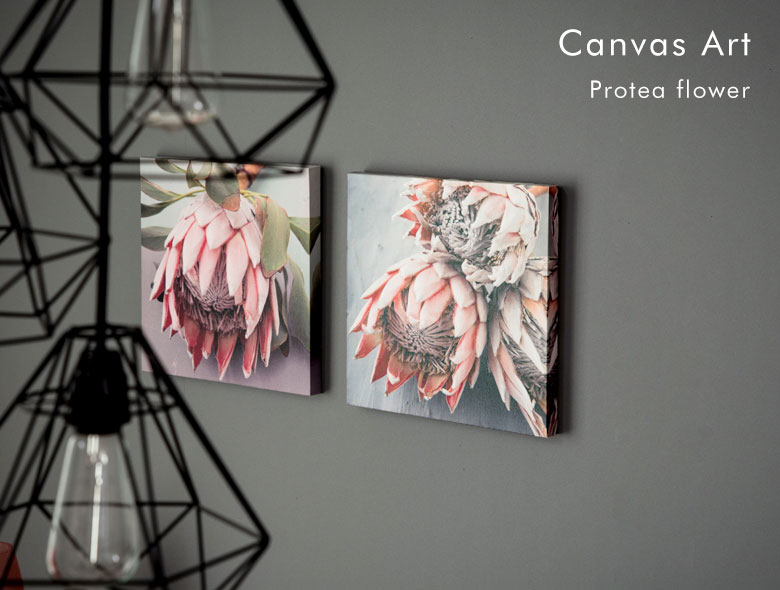 プロテアフラワーの写真アート。