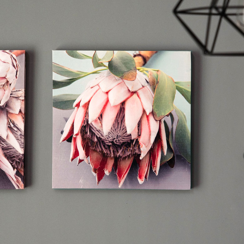 ネイティブフラワーの壁掛けキャンバスアート。