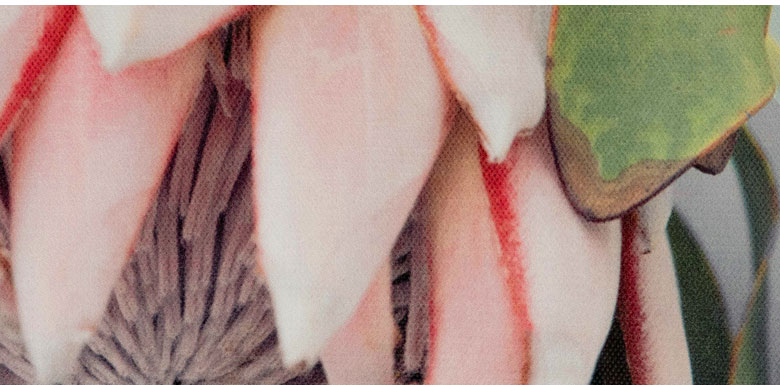 写真プリント。