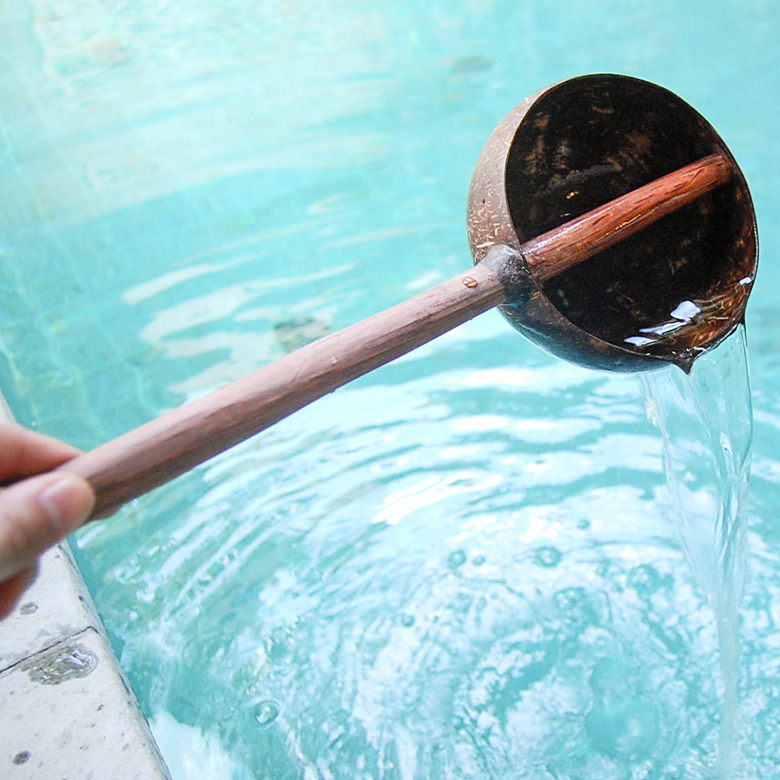 コナッツの殻を生かした、コロンと可愛い形のアジアンひしゃく