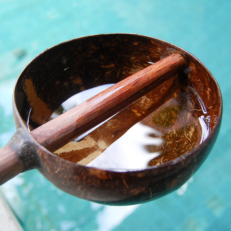 たっぷり水の入る大きさ。