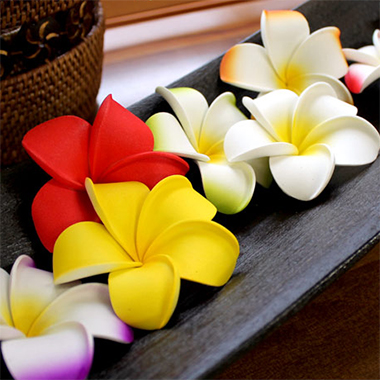 大きさ・カラー豊富なプルメリア