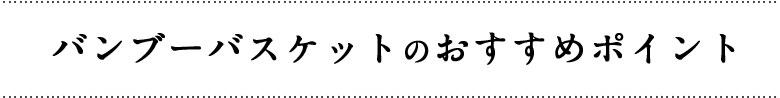 おすすめポイント