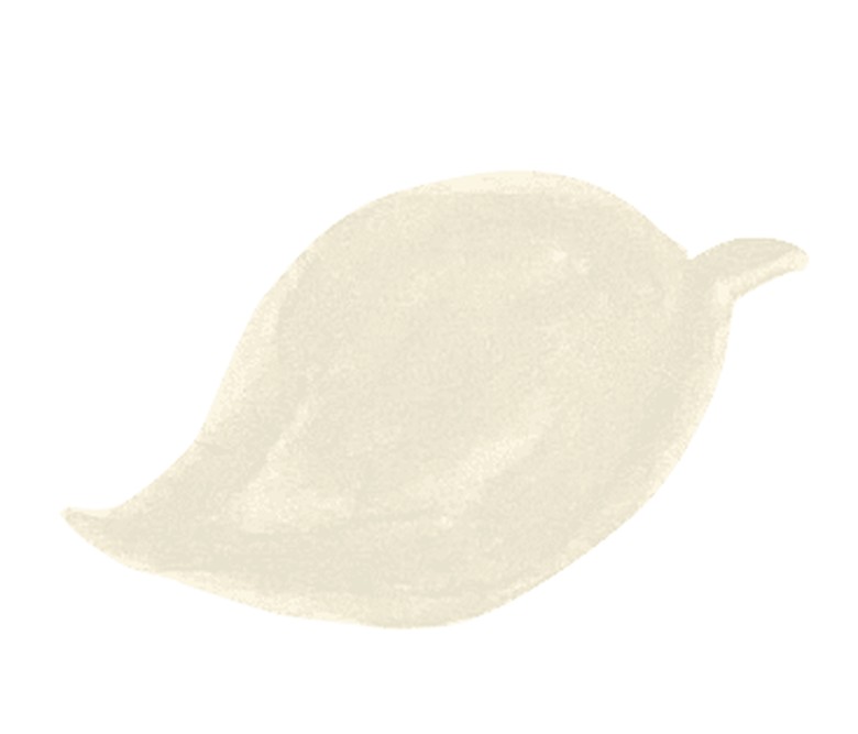 Fossil bone 骨の化石