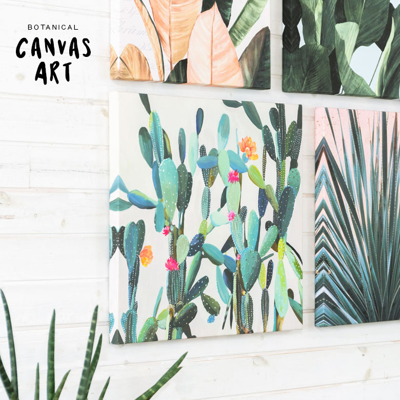 サボテン カクタス 壁掛けキャンバスアート。