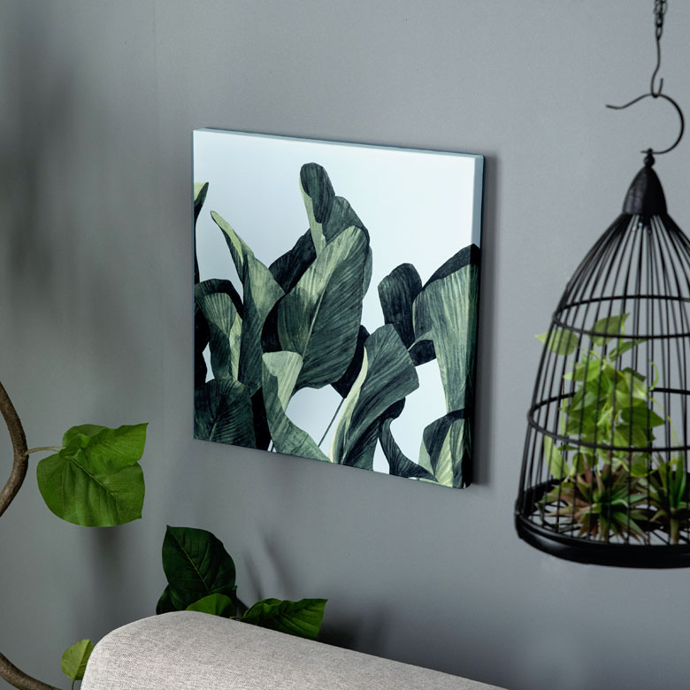 観葉植物 オーガスタ 壁掛けキャンバスアート。