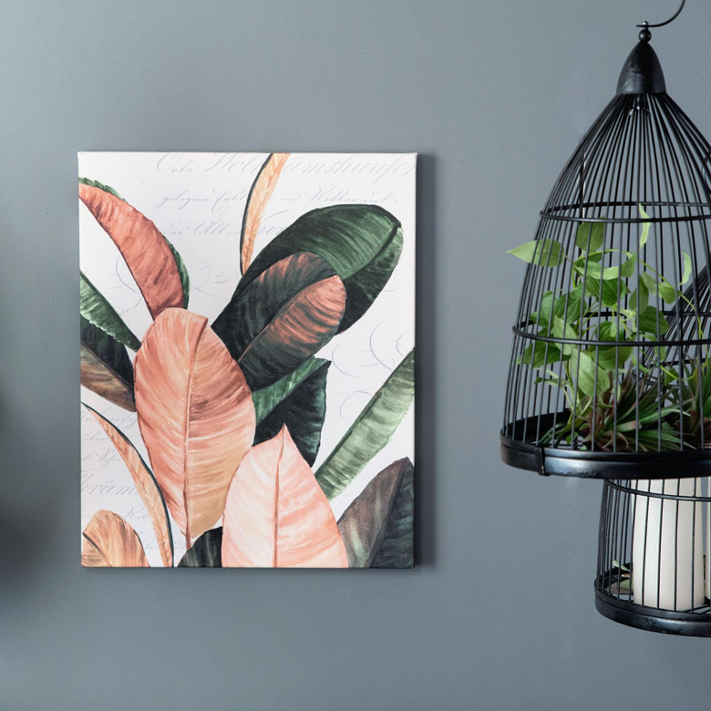 クールなインテリアとも好相性