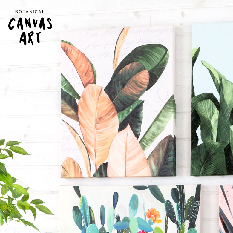 ゴムノキ フィカス 壁掛けキャンバスアート。