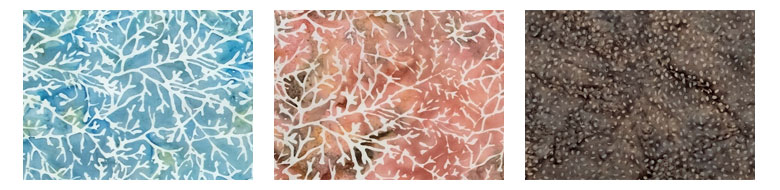 絶妙な柄が魅力的