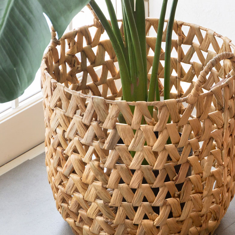 お好きな植物を入れて、お部屋でグリーンを楽しむのも素敵