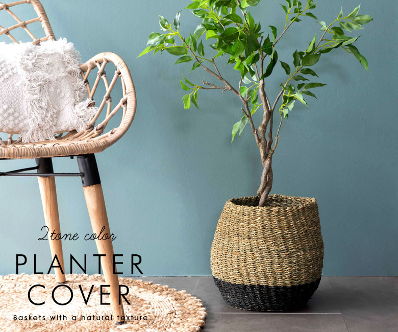 年間通して、インテリアもエクステリアも飾れる！