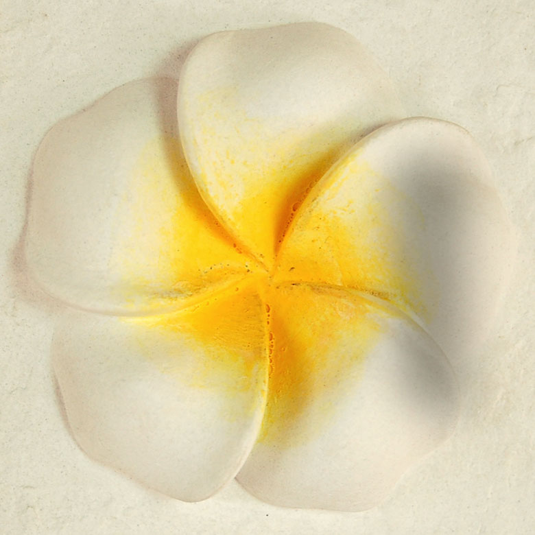 プルメリアのブーケをイメージしたアジアンレリーフ。