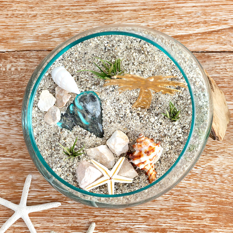 涼しげなブルーのガラスにはアクアテラリウムがおすすめ。