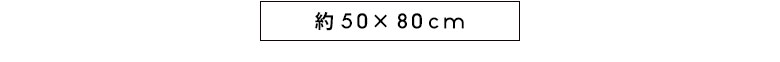約50×80cmサイズ