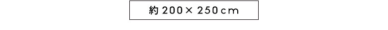 約200×250cmサイズ