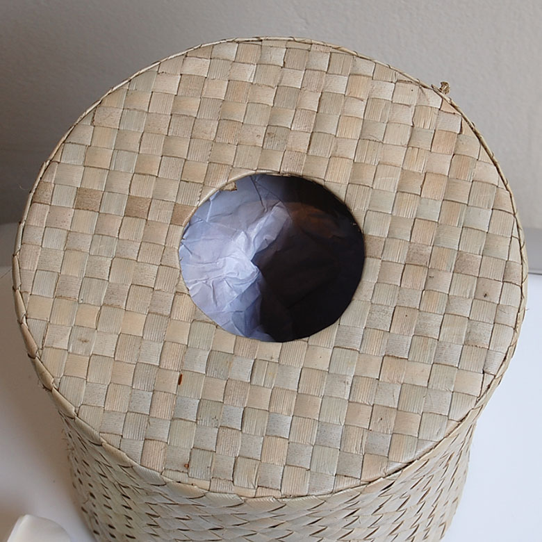 生活感が出やすいトイレットペーパーもこちらのケースに入れれば、アジアンモダンな雰囲気に。