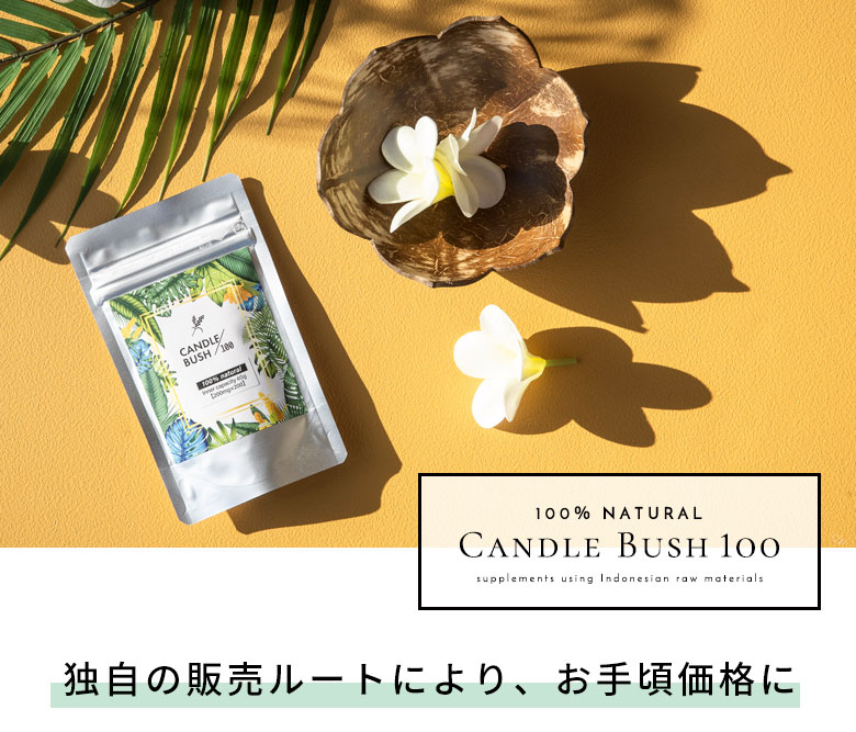 独自の販売ルートにより、お手頃価格に