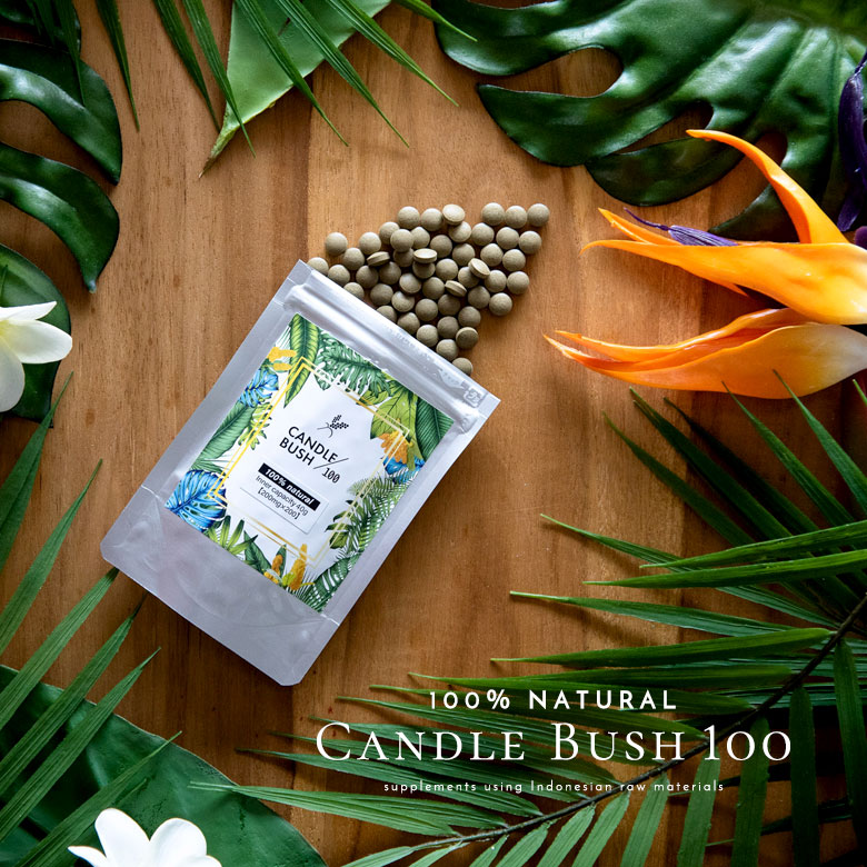 キャンドルブッシュ