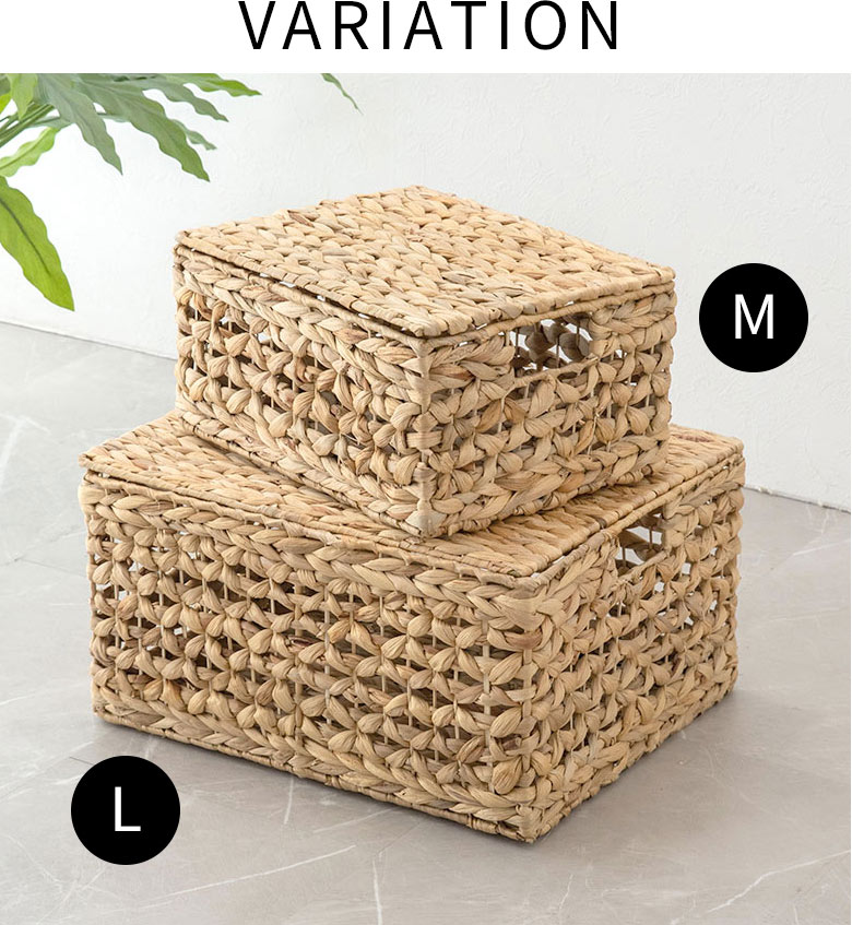 バリエーション