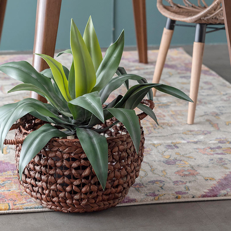 ブラウンカラーでグリーンと相性抜群