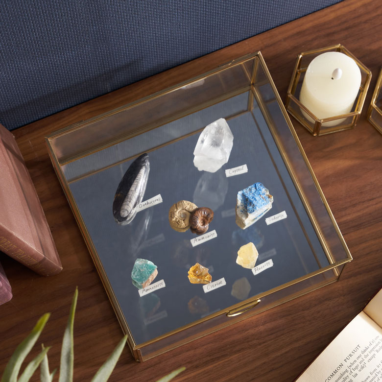 アクセサリーや小物を一層惹きたててくれます