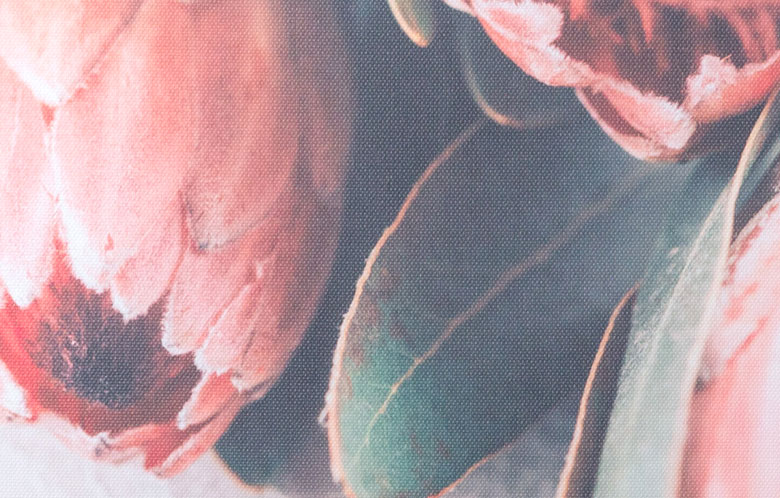 個性的なネイティブフラワー「プロテア」のアート