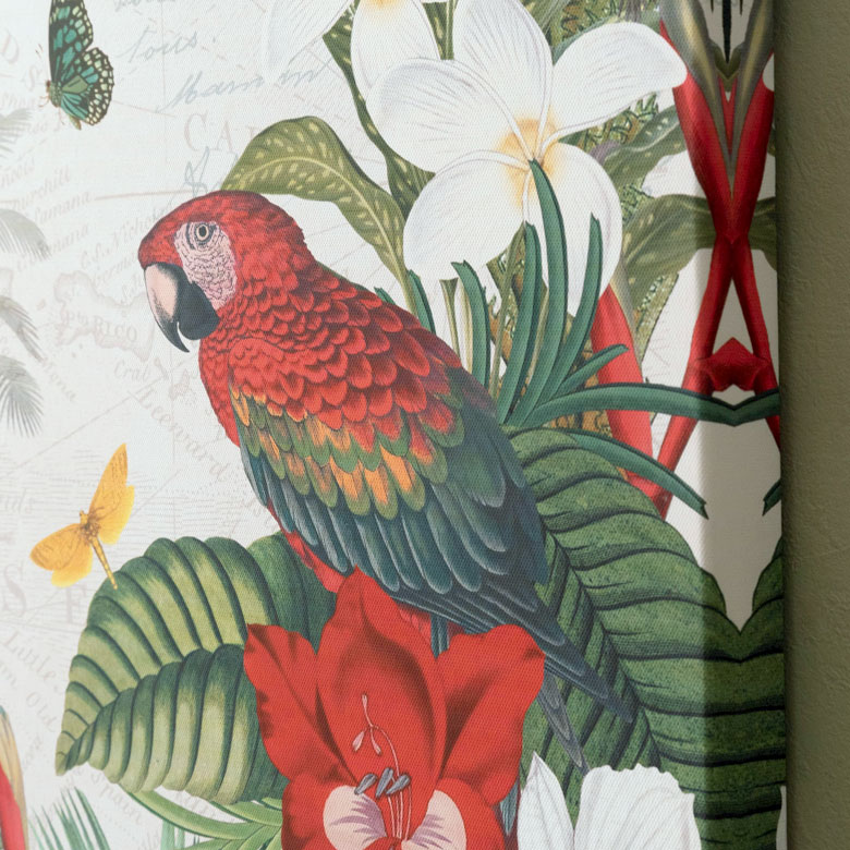 鮮やかな南国の鳥の絵