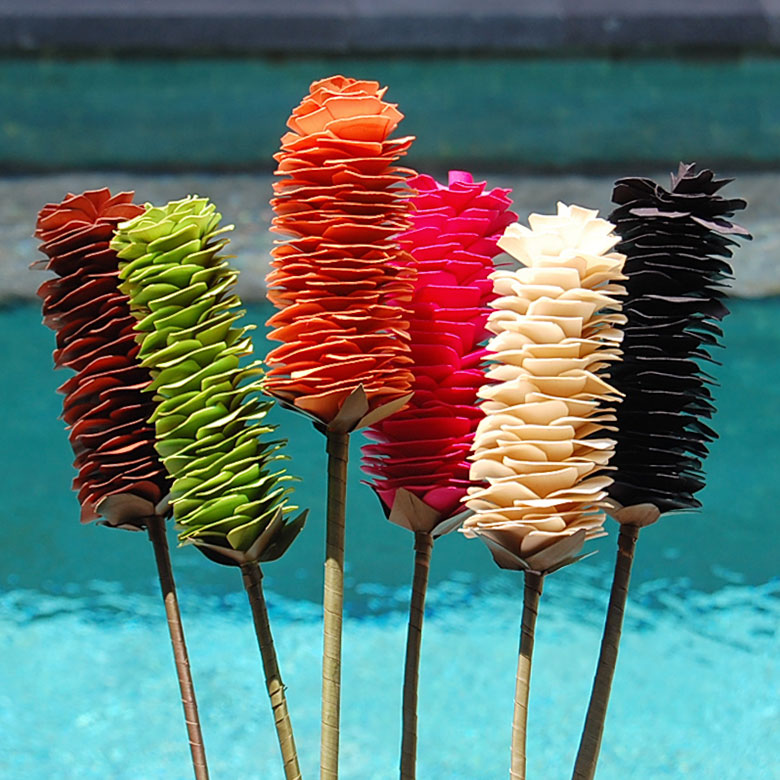 猫のしっぽみたいなアートプランツ