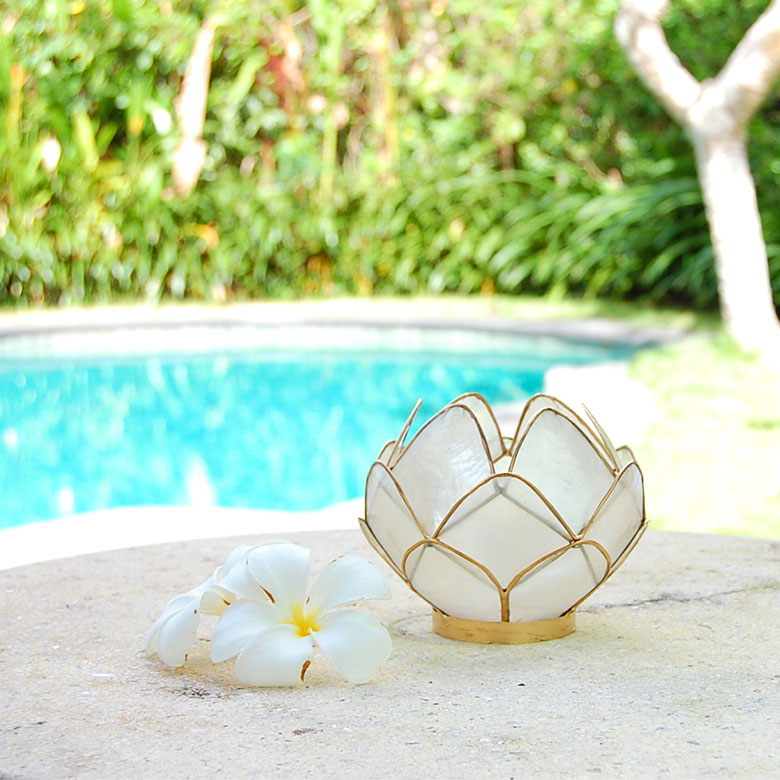 シェル特有の繊細な素材感