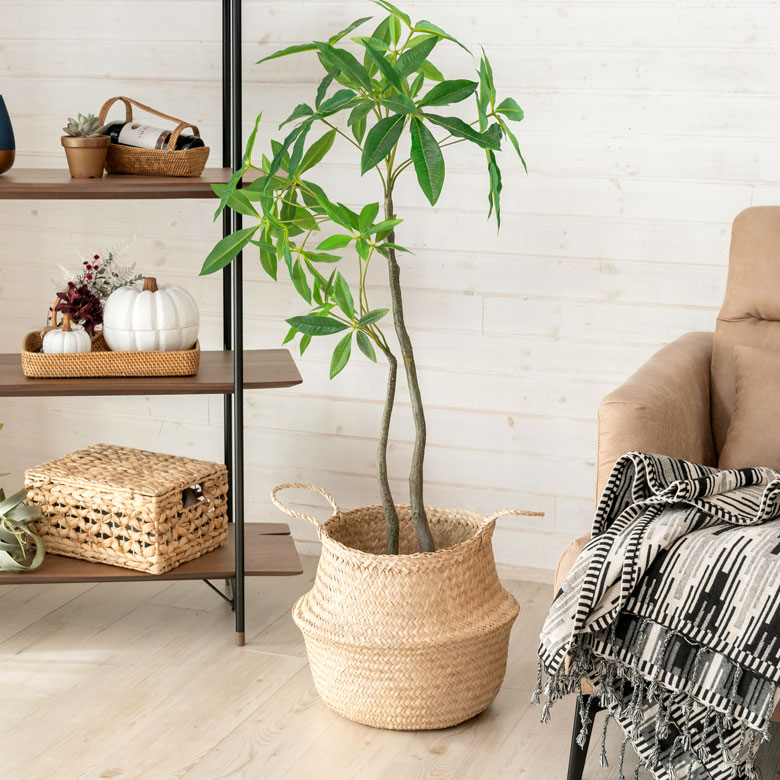 ころんとしたフォルム。たっぷり収納