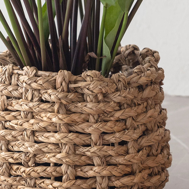 ナチュラルな色合いでシンプルなつくりが主役を引き立て、どんな植物とも相性バッチリです。