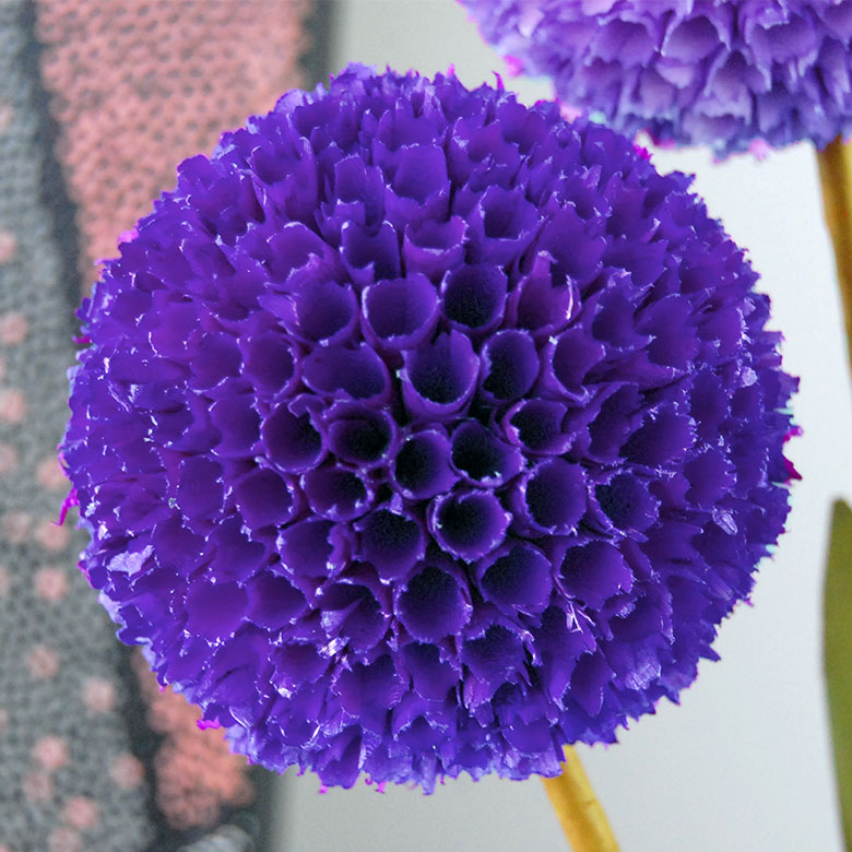 丸いボールの花