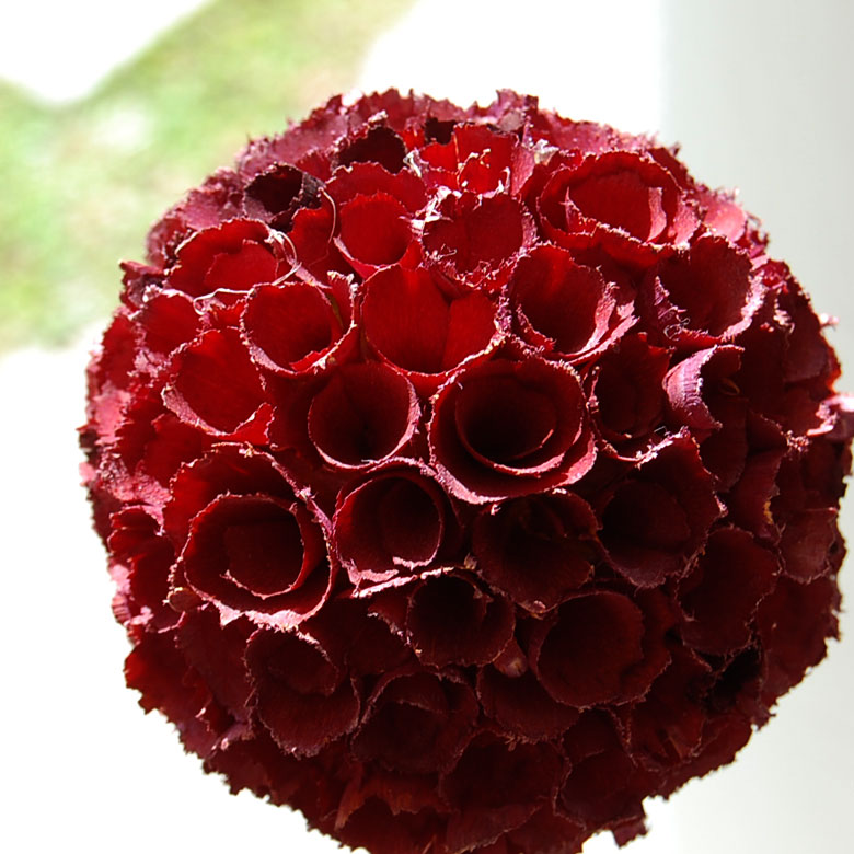 丸いボールの花