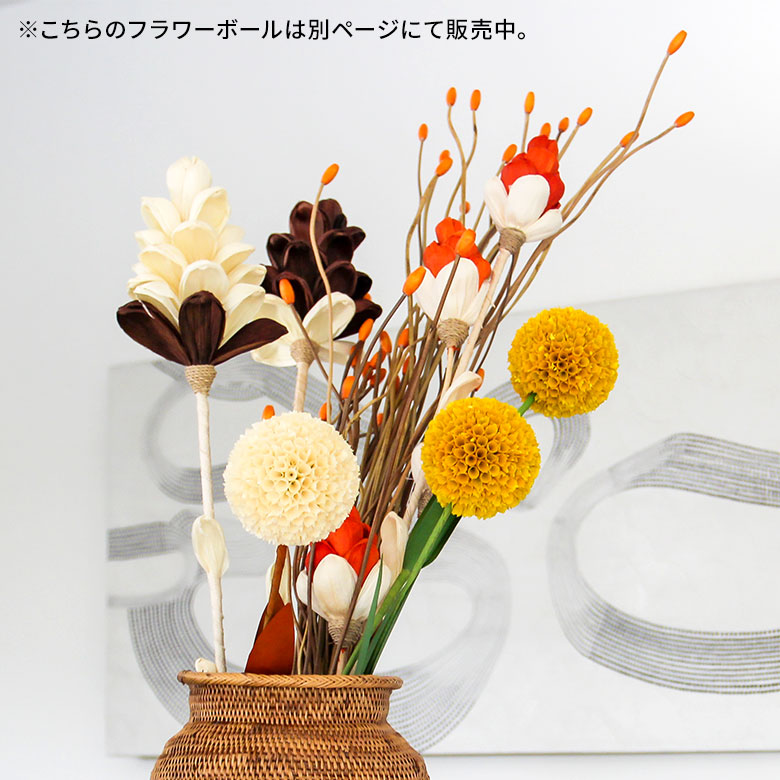 カラーバリエーション