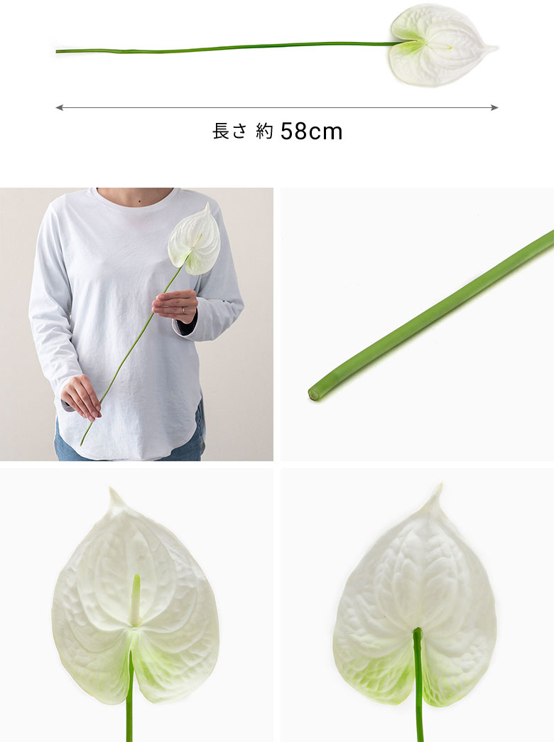 商品詳細