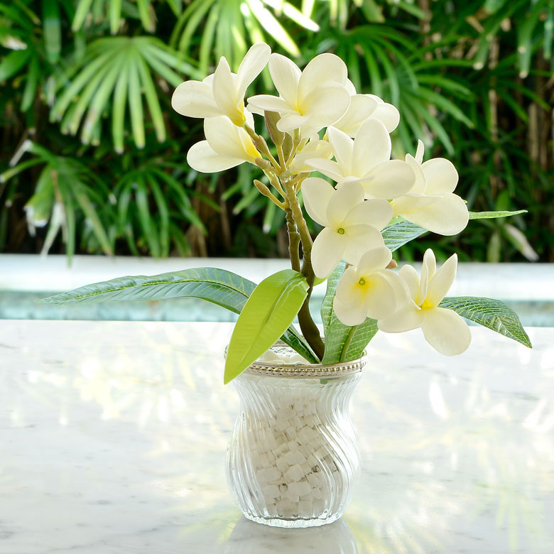 アーティフィシャルフラワー[ プルメリア ]